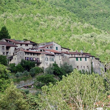Agriturismo Mulino Del Castello Nasino 외부 사진